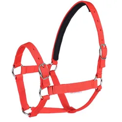 Cavassion Factory Directly Sale Anti-friction Protecting the Horse Skin Bridle Horse Riding Halter