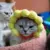 Забавная Шляпа для Кошки Подсолнух Одеваются Костюм Pet Hat Косплей Животных Согреться Красочные Китайский Стиль Головные Уборы Кошка Аксессуары