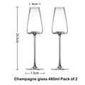 480ml Pack of 2
