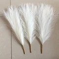 Rice white