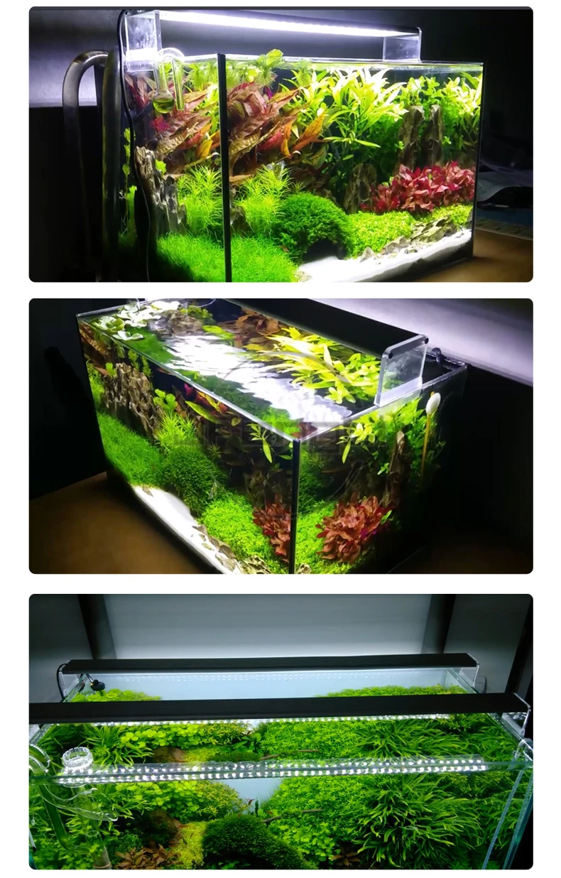 O1CN01QVKctn22n9wYfAduH_!!2925037164