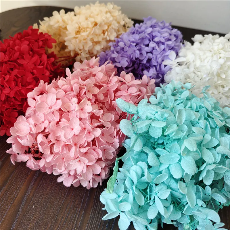 

20g/lot,Eternal Hydrangea medium leaf wood Hydrangea fresh-keeping flower,photo frame christmas decoration resin art tiny flower
