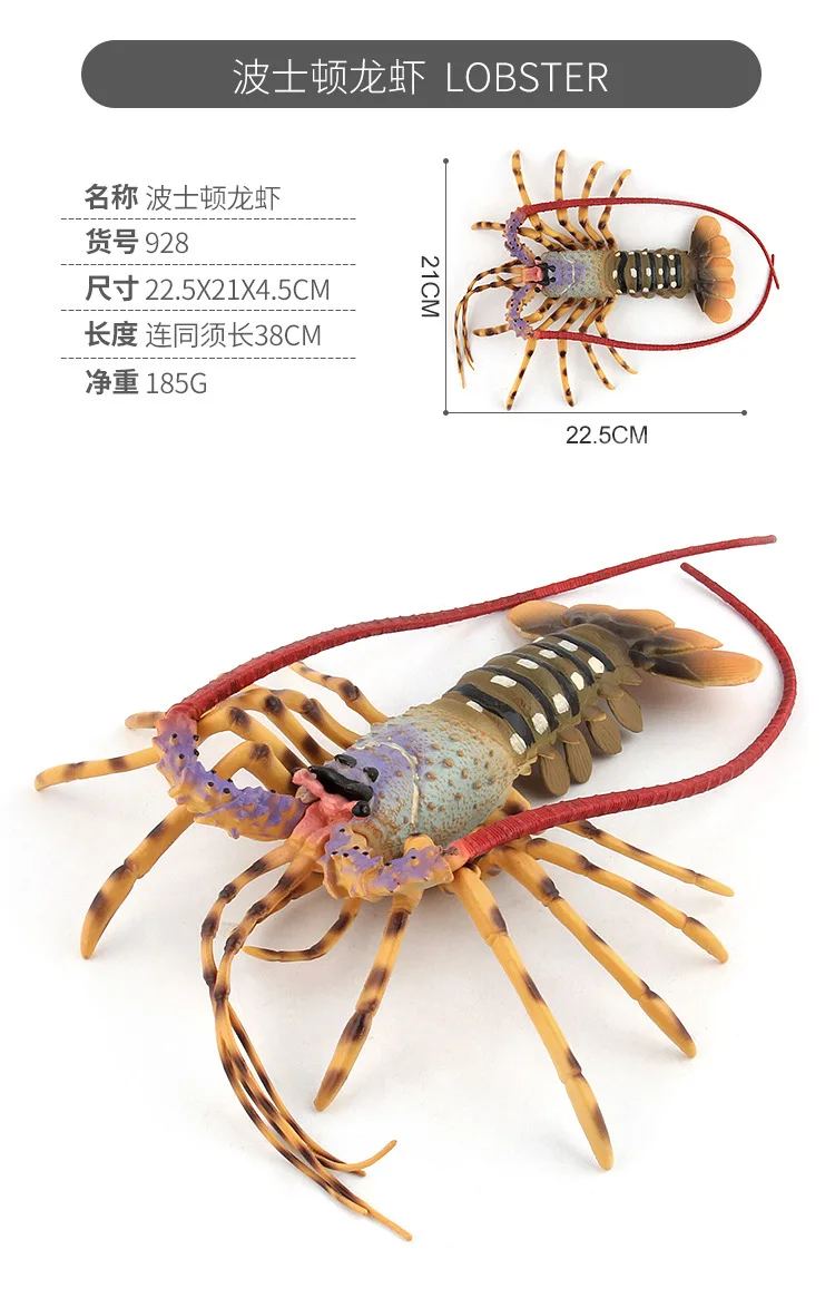 Морские организмы модель морепродукты Омары океаны животное модель подводная игрушка кукла украшения пластик