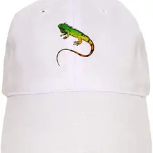 Зеленая Бейсболка Iguana