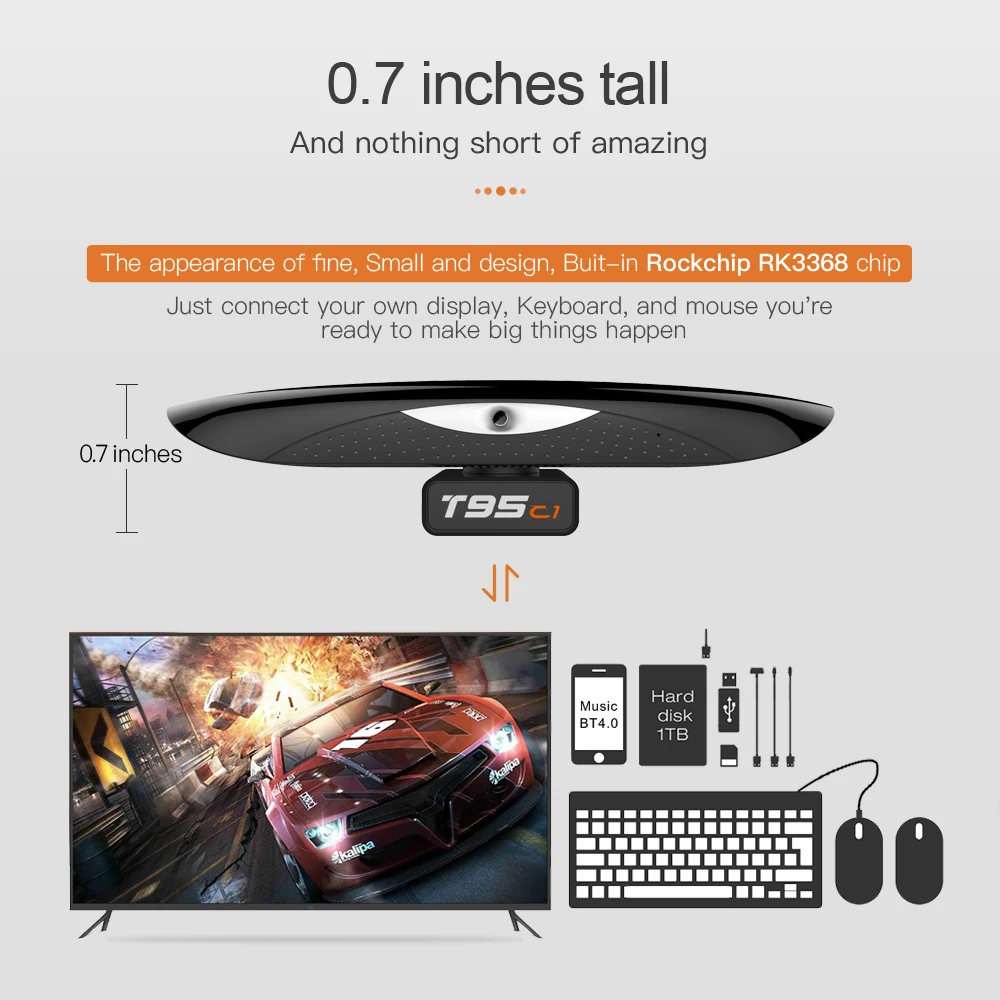 T95C1-09