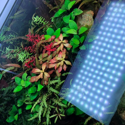 Chihiros RGB яркая серия светодиодный светильник 60-90 см 110-240 В, приложение для выращивания растений, управление с Bluetooth, умный контроль восхода солнца