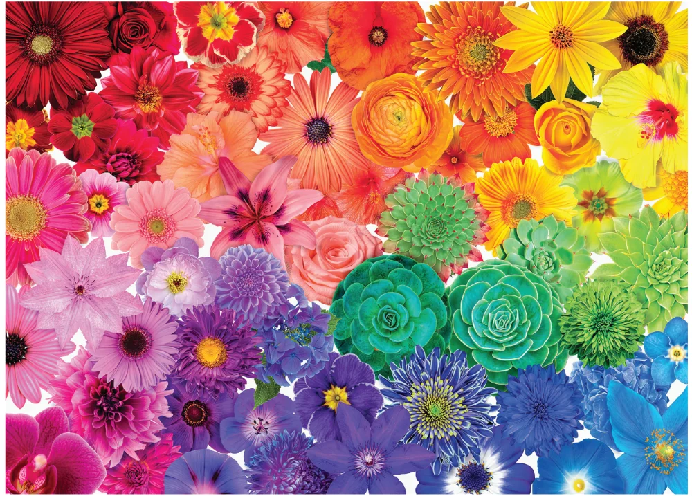 彩虹花朵高清图