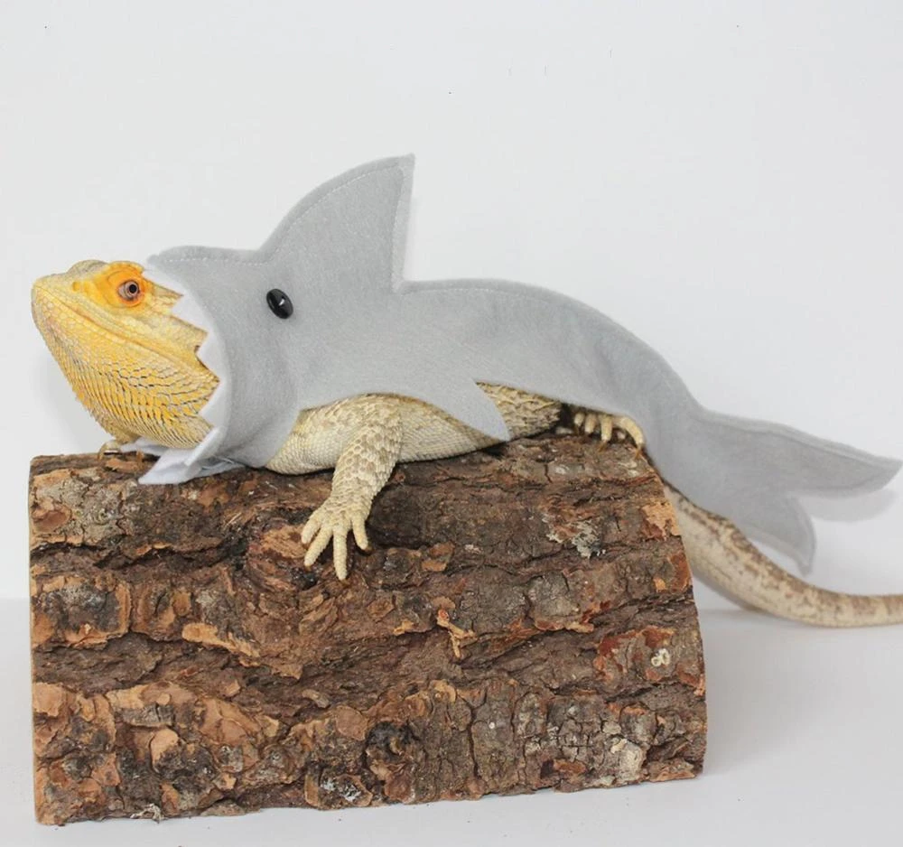 Zegevieren Kijkgat herwinnen Shark Kostuum voor Baardagaam Reptielen Kleding Hagedis Shark Kleding  Kleine Pet kleding Gecko| | - AliExpress