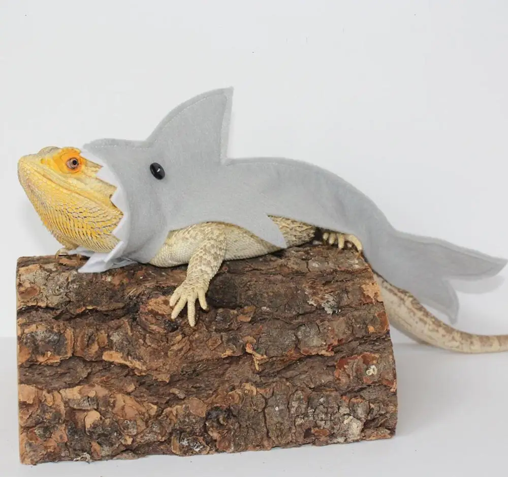 ひげを生やしたドラゴン爬虫類の服のためのサメのコスチュームトカゲのサメの服小さなペットの服gecko Aliexpress