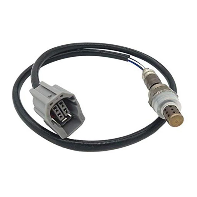 51HRxPLe2%2BL._SX522_