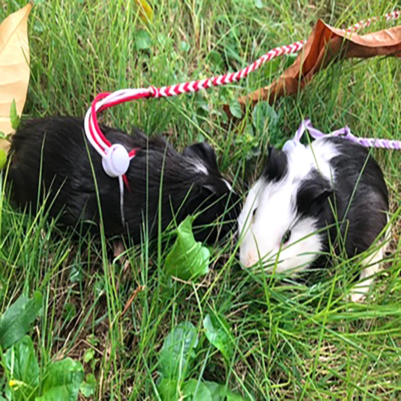Pet Hamster Leash Harness Rope 2m Adjustable Bunny Cotton Rope Harness Lead Collar for Ferret Squirrel Rabbit Hamster Pet Leash5