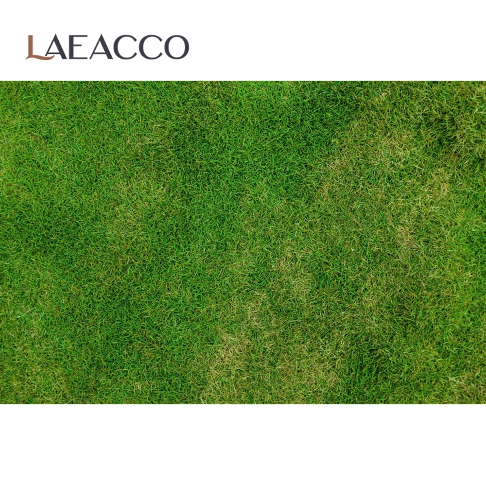 Laeacco 녹색 봄 잔디 건초 스택   애완 동물 인형 초상화 사진 배경 사진 배경 사진 스튜디오