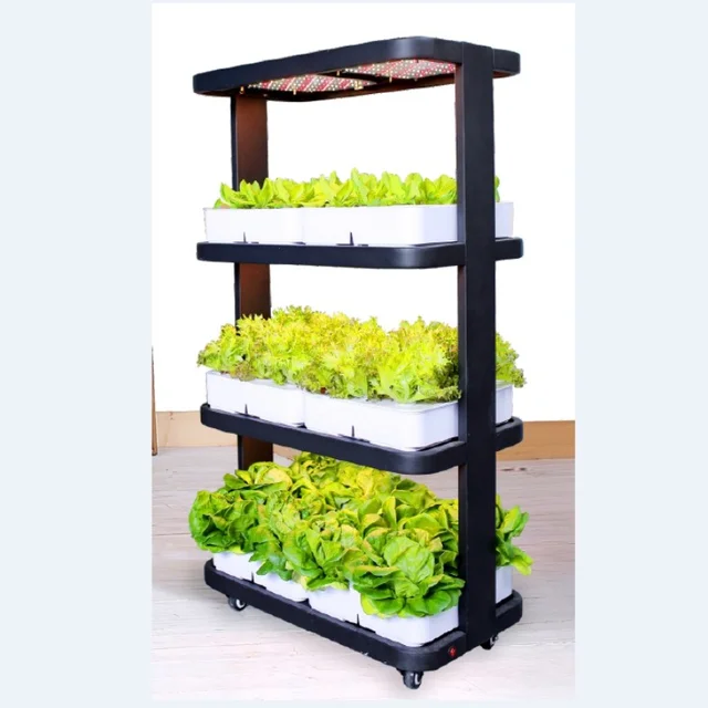 Indoor Smart Garden Kit - Family Hydroponics System