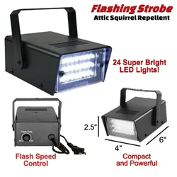 Lumières stroboscopiques LED avec télécommande, éclairage de scène, cadeau, vitesse réglable, DJ Disco, lumières stroboscopiques 