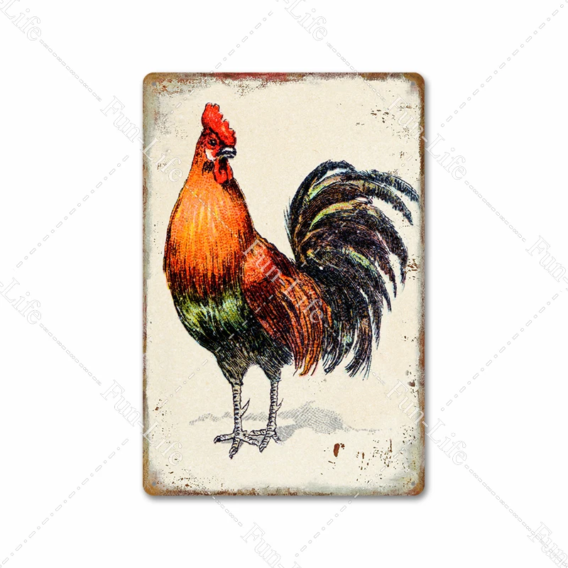 chicken (17)