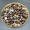 Nouveau 8x6mm 100 pièces de perles acryliques boucles d'oreilles collier accessoires perles pour la fabrication de bijoux bijoux à bricoler soi-même résultats ► Photo 3/6