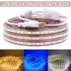 110V 220V LED Strip Light SMD5050 60LEDs/m Flexible LED Tape Waterproof LED Ribbon LED Light Strip with EU US Switch Plug ► Photo 3/6