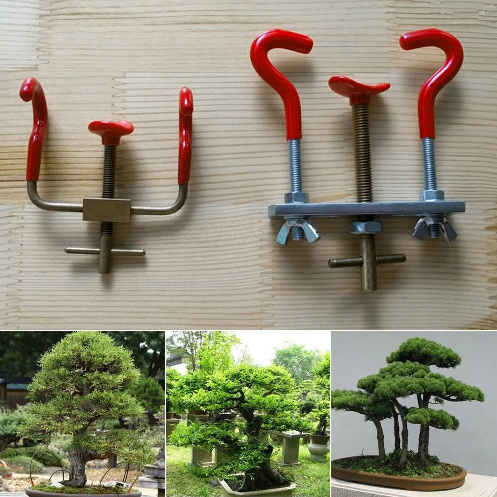 Набор Инструментов Для Бонсай Купить