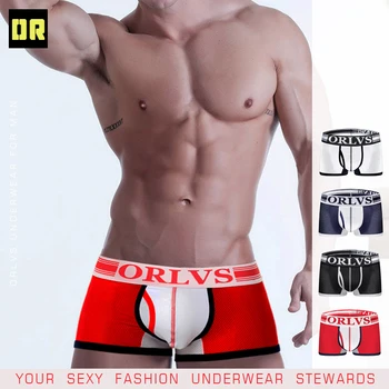 

2020 CMENIN Brand Sexy Men Underwear Boxer Mesh Breathable Cueca Male Pantie 3D Pouch Design Underpants 4 Boxershorts OR299