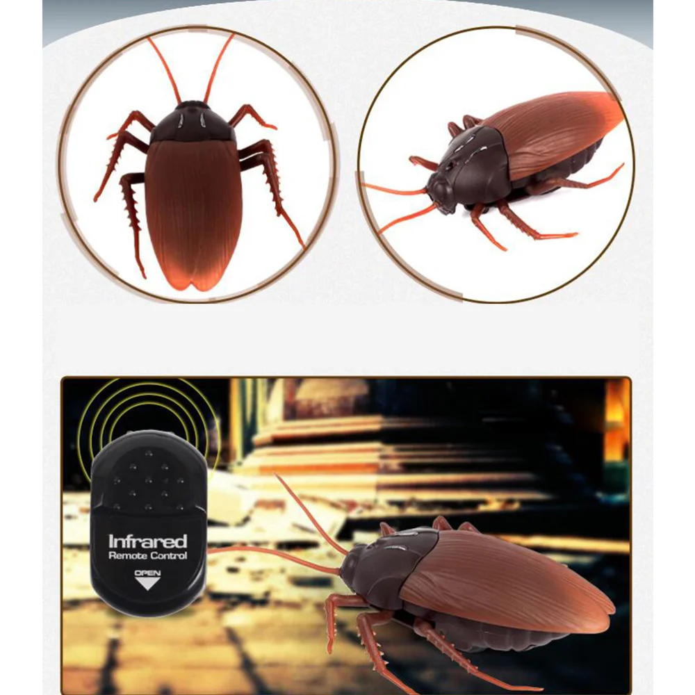 fake cockroach toy