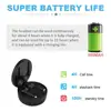 Portable Audio 