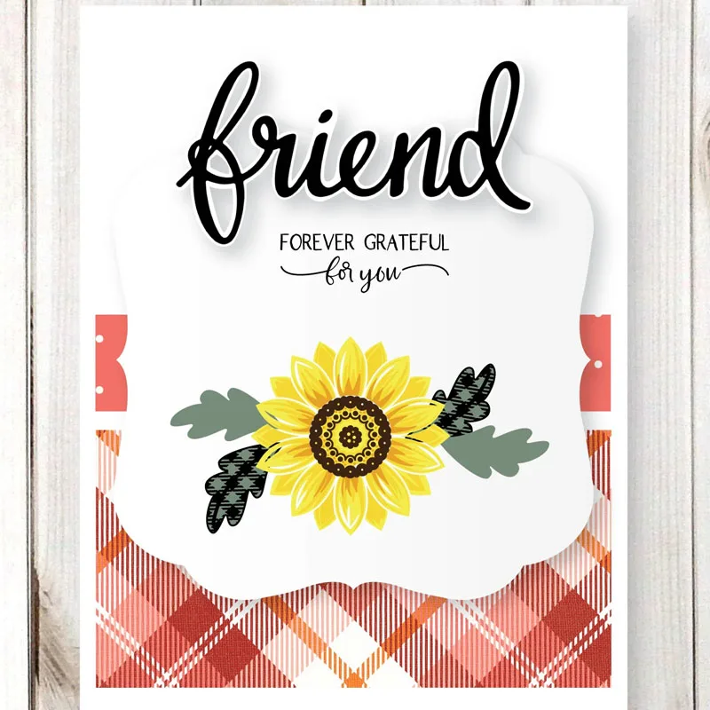 LDRS_3173_8094_Pick_of_the_Patch_f2381def-f26f-4914-9c16-ae5adae9a241