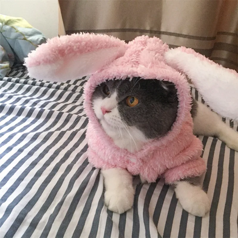 Двухслойное замшевое пальто с большими ушками кролик кошка собака Женское