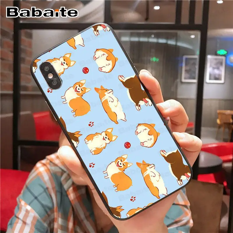 Cartoon Cute Corgi Dog