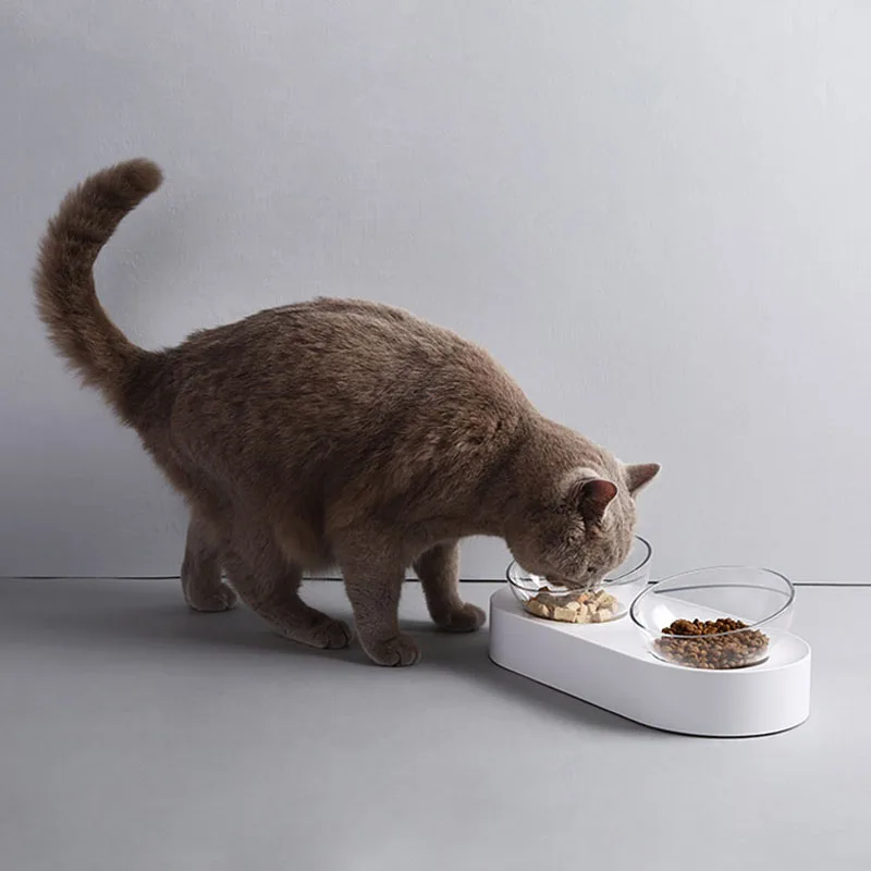 Xiaomi PETKIT миски для домашних животных собачьи кошки поилки миски для кормления миски регулируемые двойные миски для подачи воды чашки для щенков товары для домашних животных