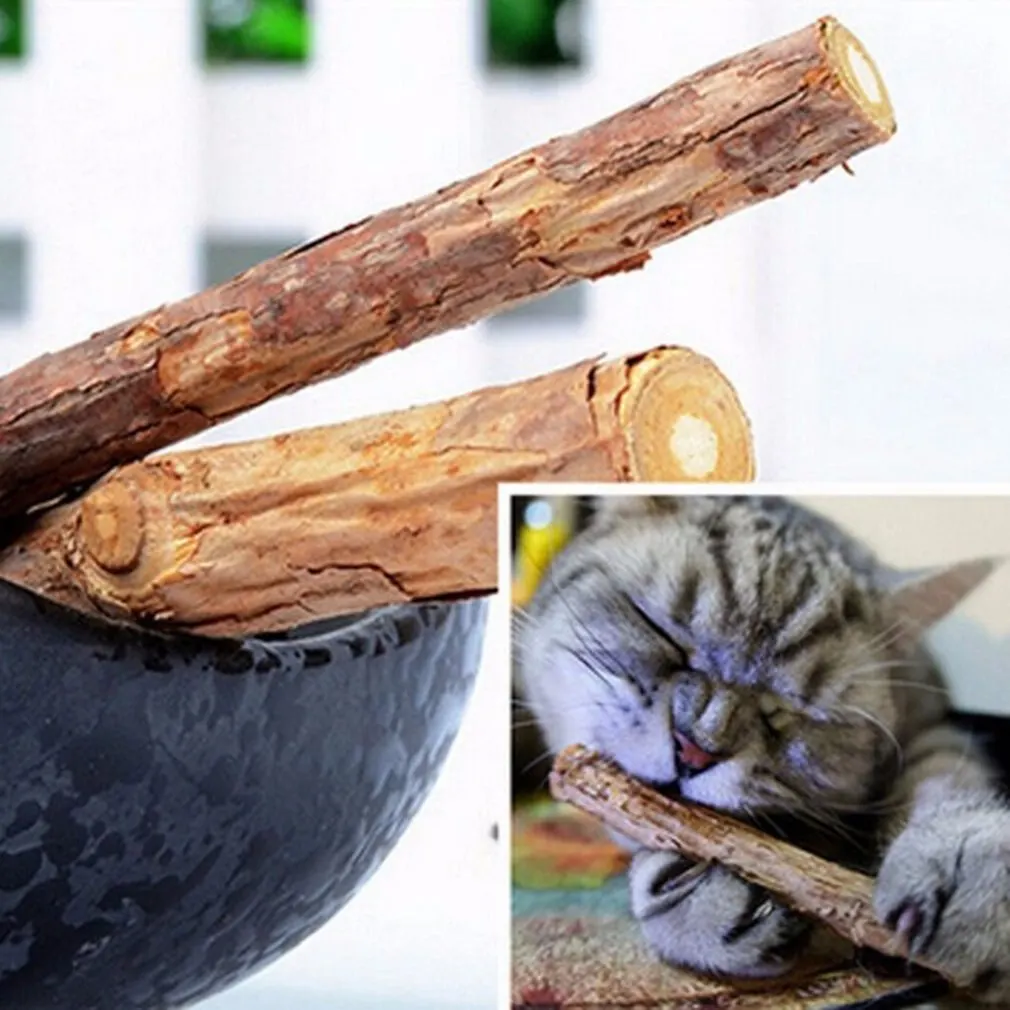

2pcs/5pcs Natural Catnip Pet Cat Toy Molar Toothpaste Branch Cleaning Teeth Silvervine Cat Snacks Sticks Pet Supplies