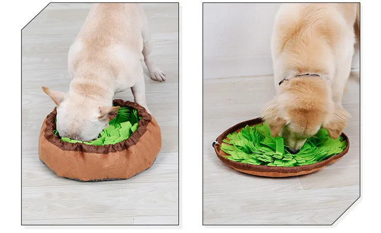 10265299893_860115678