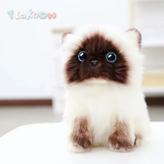 stuffed ragdoll cat