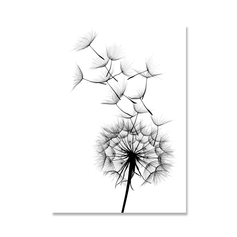 Скандинавский плакат черно-белая картина Одуванчик настенный арт минималистичный Холст плакат современные настенные картины для гостиной без рамы - Цвет: B
