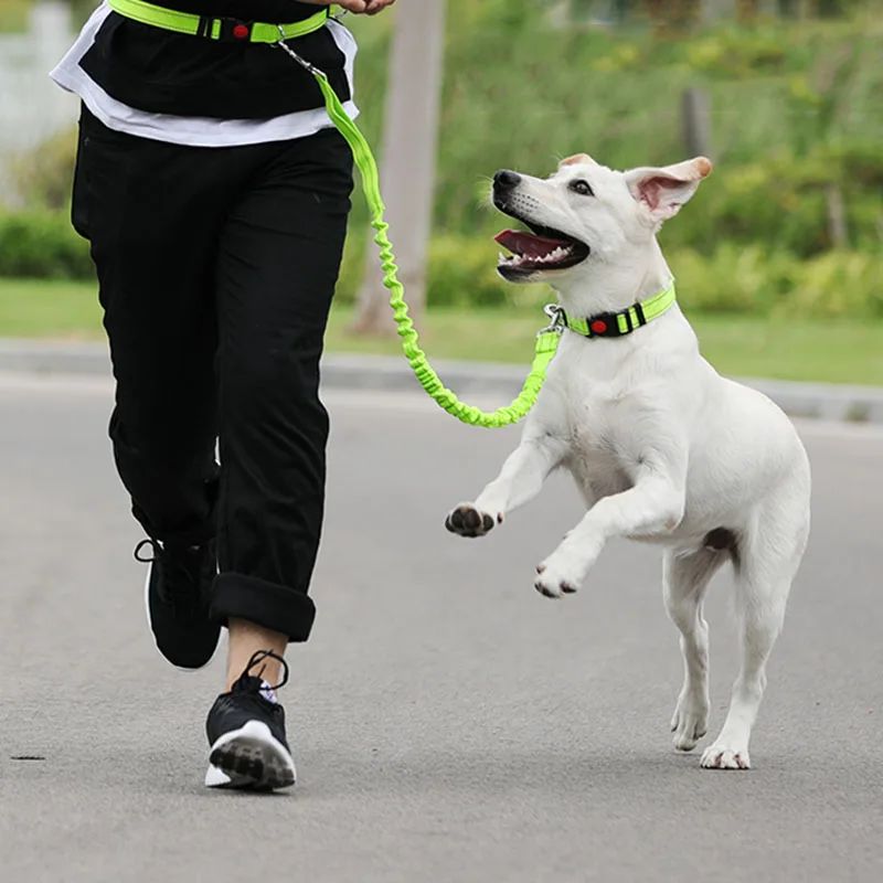 

Morning Running Waist Bandage Hands-free Traction Rope Pet Retractable Reflective Walking Dog Rope Golden Retriever Dog Chain