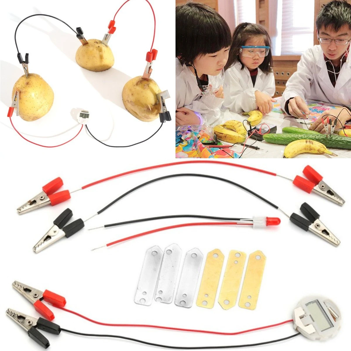 Biologia Energy Generate Electricity Science Experiment Educational