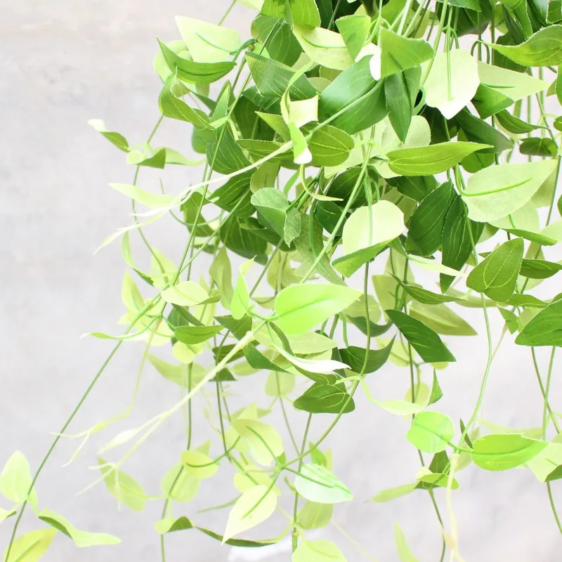 

Screen Printing Long Branch Clematis Leaf Imitation Flowers Green Vegetation Flower Arrangement with Leaves Versatile Leaves Dro