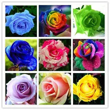 20 видов смешанных 100 шт/упаковка, четыре сезона сева бонсай многолетних цветов, розы Сад легко сажать