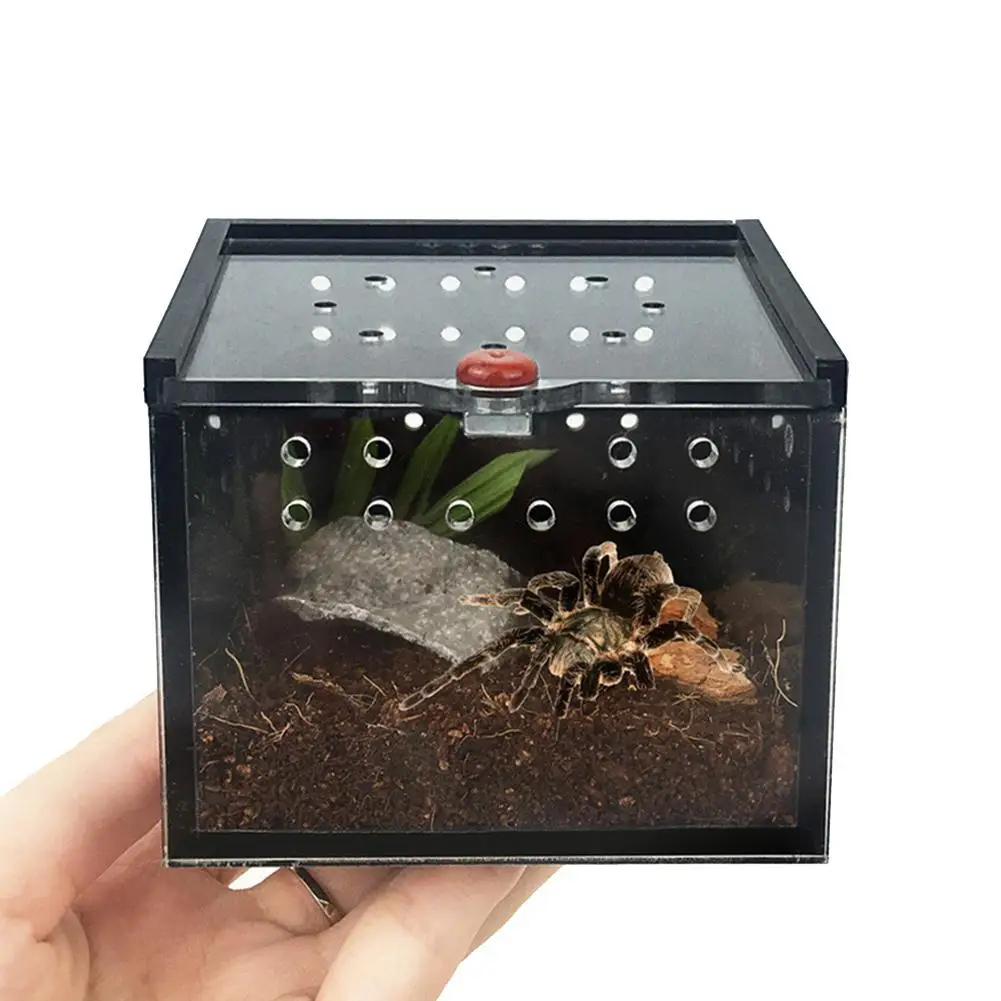 Feeding Box for Spider Lizard Frog Cricket Turtle Pet Breeding Keeper Palace Black Acrylic,8.8x8.5x6.5cm