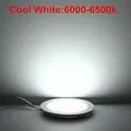 Cold White