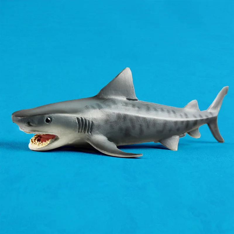 

Marine Organism Model Great White Shark Children Model Static Small Shark Plastic Solid Toy Animals Foreign Trade Supply of Good