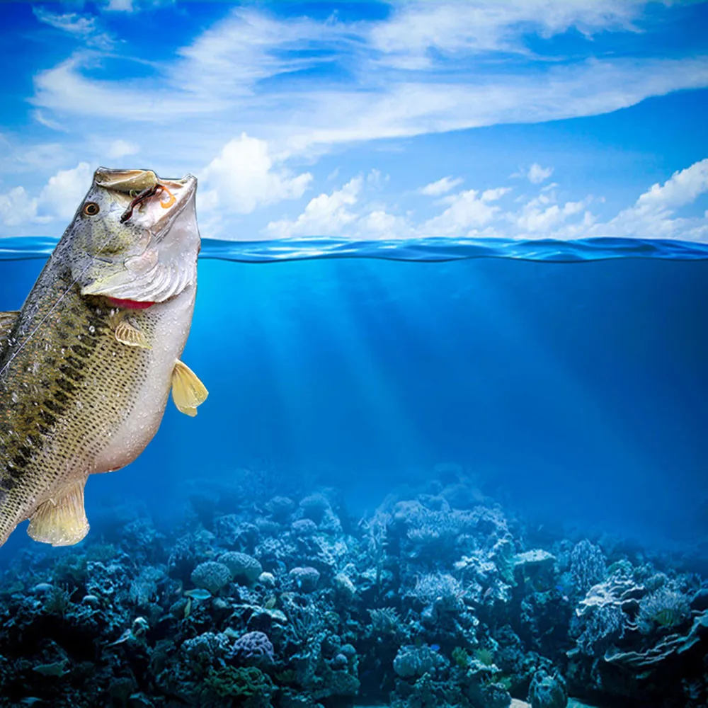 HTB1R9kOV4TpK1RjSZFKq6y2wXXa6