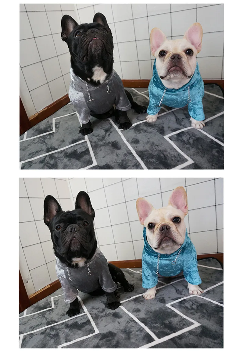 sweatshirt french bulldog (8)