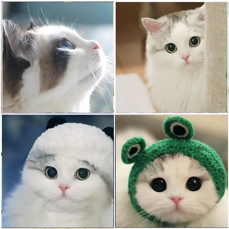 

Full Round Drill Animals 5D DIY Diamond Painting Cat Crystal Diamond Kit Art Home Decoration Handmade Mosaic Cross stitch Gifts