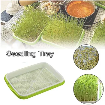 

Hydroponics Double Layer Arc Plastic Seedling Tray Wall-mounted Green Tray Soilless Cultivation For Gardening Bonsai Cat Grass