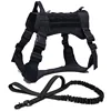 BK Harness and Leash