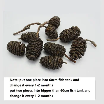 

Alder cones for christmas decoration and water pH and water color in aquarium
