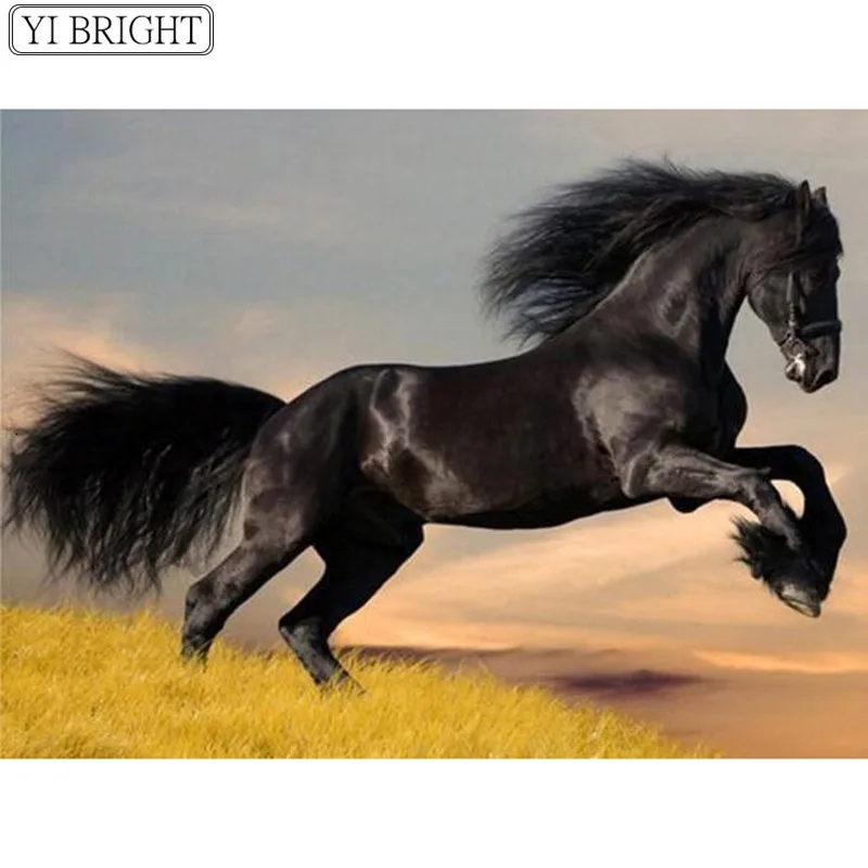 

5d Diamond Painting Horse Animal Home Decoration Full Drill Square Rhinestone Picture Handcraft Kit Art