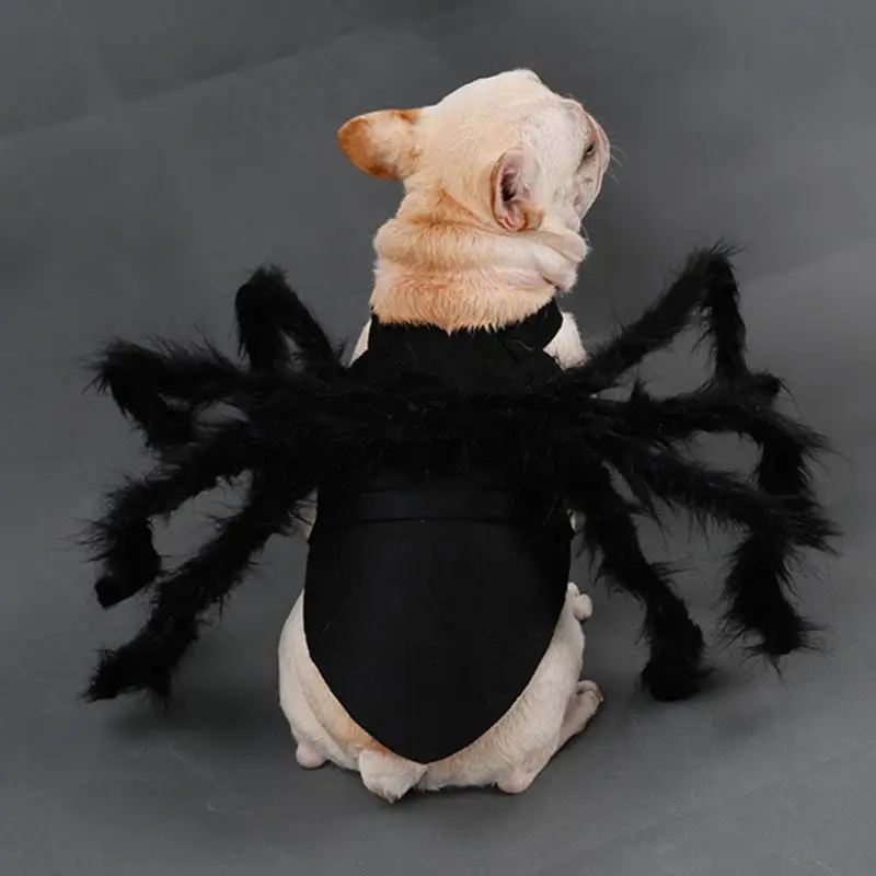 Pet Halloween Costume Party Spider Cosplay Apparel Festival Outfits