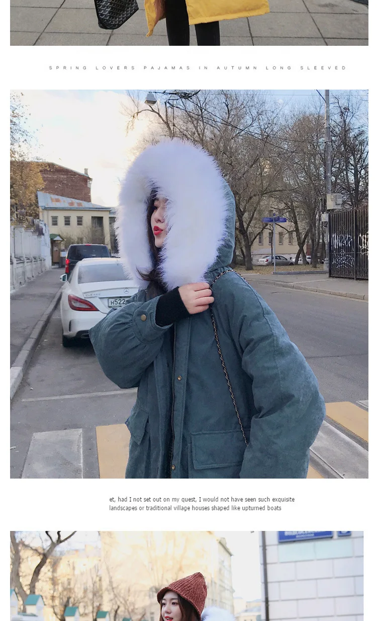 8821Cotton_12.jpg