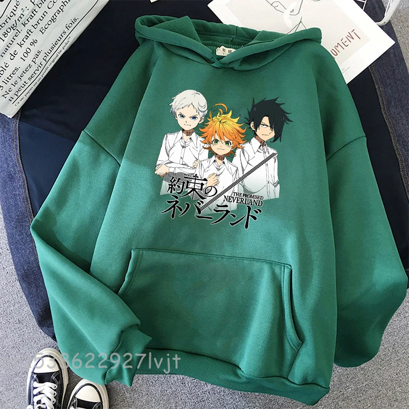 Рисунок 4 - Весенняя Толстовка с принтом обещания Neverland